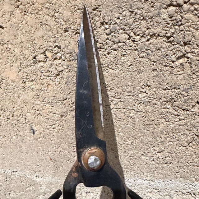 Traditional Pair of Forged Carbon Steel Loop-Handled Shears Chinese Bonsai For Sale In San Diego - Image 6 of 15