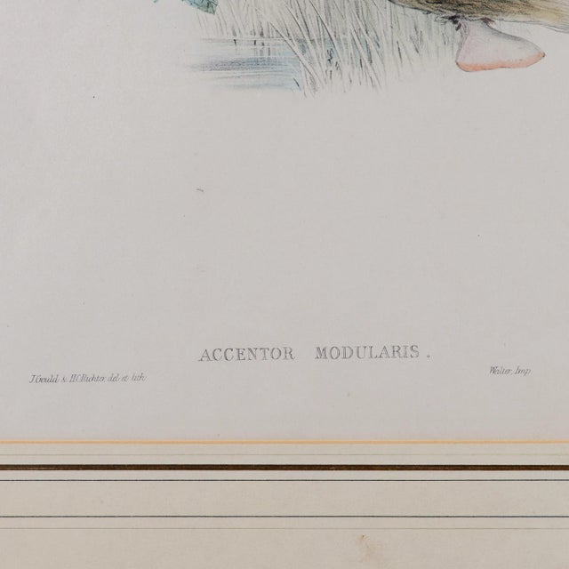 Wood Gould Accentor Modularis For Sale - Image 7 of 8