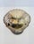 Vintage Fifth Avenue Silverplate Scallop Shell Centerpiece Bowl For Sale - Image 12 of 13