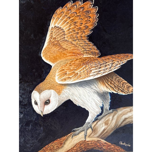 This breathtaking original painting by wildlife artist Tom Cheknis captures the grace and power of a barn owl in mid-...