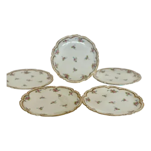 Early 20th Century Limoges Haviland Floral Dessert Plate Set- 5 Pieces
