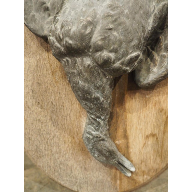 Pair of Circa 1890 Weathered French Hunt Trophies on Natural Oak Oval Panels For Sale - Image 14 of 18