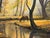 Horse next to River in the Woods of the English Countryside by British Artist 1970 (Circa) For Sale - Image 6 of 18
