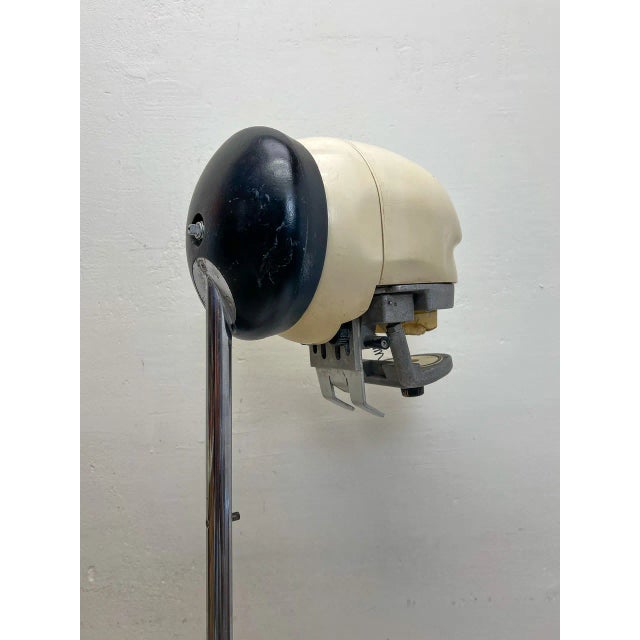 Vintage Dental Practice Training Phantom Head on Stand, 1970s For Sale - Image 11 of 13