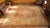 Artistic Warm Neutral Mahogany Brown Field With Medallion Design Antique Indian Agra Rug For Sale - Image 13 of 15