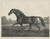 After Chalon, Volunteer & Selim Thoroughbred Horses, Lithographs, 1840, Set of 2 For Sale - Image 7 of 9