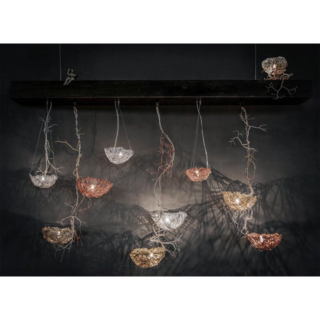 The first home — where life begins “inspired by nests — the first dwelling, the first form of safety, the place where life...