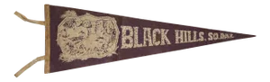 Vintage Black Hills Sd Felt Flag