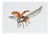 Juris Utans, Ladybug in Low Flight, 2021, Mixed Media on Paper For Sale