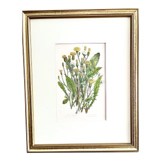 Antique Floral Botanical Hand Colored Lithograph Print 1860 For Sale