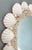 1970s Vintage Coastal Shell Encrusted Wall Mirror – Scallop & Opalescent Sea Shell Frame | Hollywood Regency Coastal Glam For Sale - Image 5 of 13