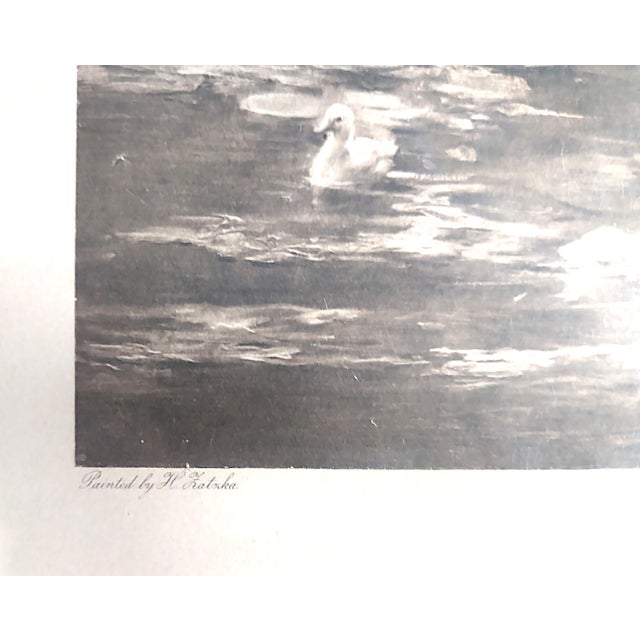 Hans Zatzka, Tempting Bait, 1905, Etching, Framed For Sale - Image 4 of 5