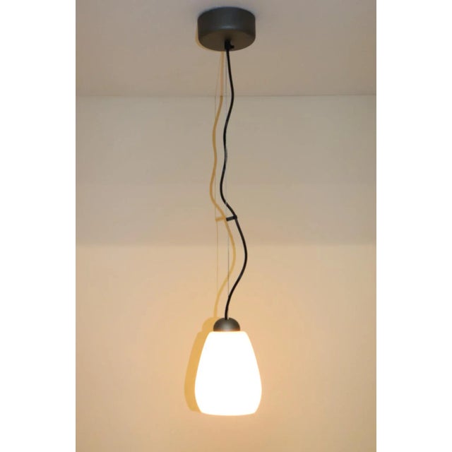 "Lily" Pendant Lamp Murano Hand Blown "Incamiciato" Rose Glass, Satin Finish. Designed by Rosanna Toso for Murano Due....