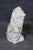 Early 20th Century Pair Large White Glazed Ceramic Figures of Entryway Lions Paws Raised on Shield For Sale - Image 5 of 12