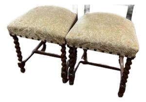 Early 20th Century East Lake Victorian Chairs