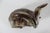 1940s Largre Goat Buck Figurine in Stoneware by Karl Larsen for Royal Copenhagen, 1947 For Sale - Image 5 of 11