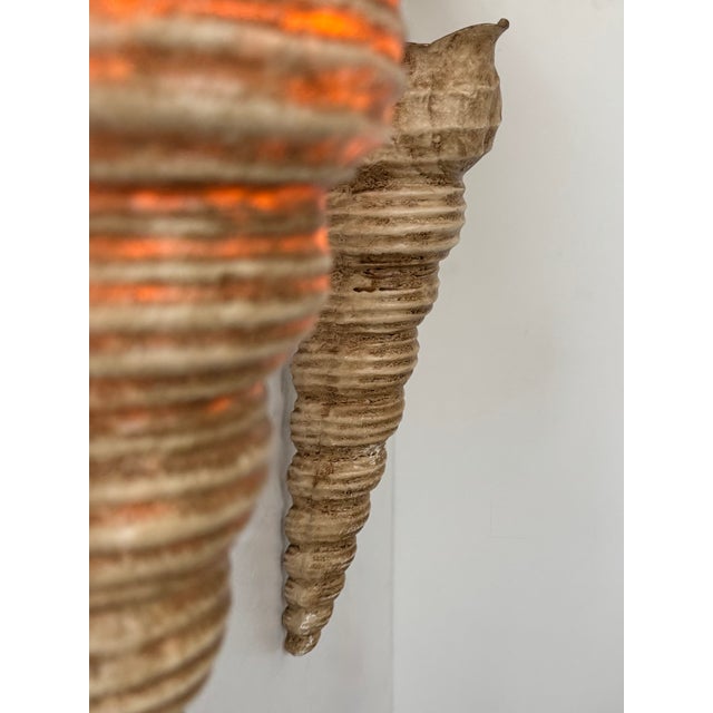 1960s Vintage Shell Wall Sconces in Beige Fiberglass, France, 1960, Set of 2 For Sale - Image 5 of 10