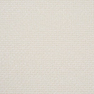 Schumacher Raye Performance Fabric In White