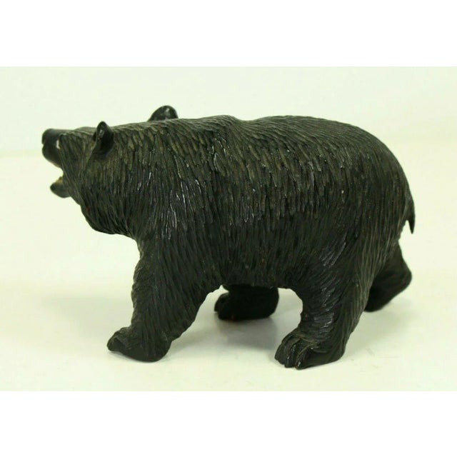 Late 19th Century 19th Century Black Forest Carved Wood Figurine of a Bear With Glass Eyes For Sale - Image 5 of 13
