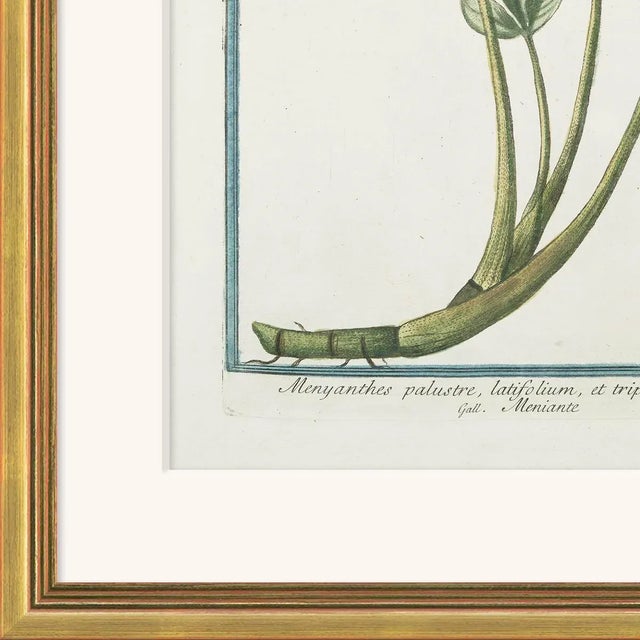 Archival Giclee Print. High quality materials and craftsmanship. Artisian handcrafted wood moulding imported from Europe....