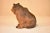 19th Century Austrian Terracotta Bear For Sale - Image 4 of 7