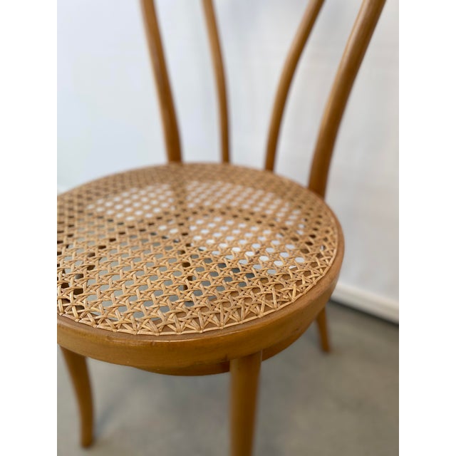 Brown Set of Cafe Chairs in Bentwood by Michael Thonet for ZPM Radomsko For Sale - Image 8 of 9