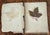 American Antique Botany Herbarium: 1900s Lab Notes & Drawings - Columbia City High School For Sale - Image 3 of 10
