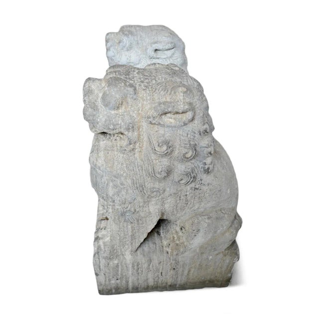 Stone Old Mongolian Stone Foo Dog Statues - Pair For Sale - Image 7 of 12