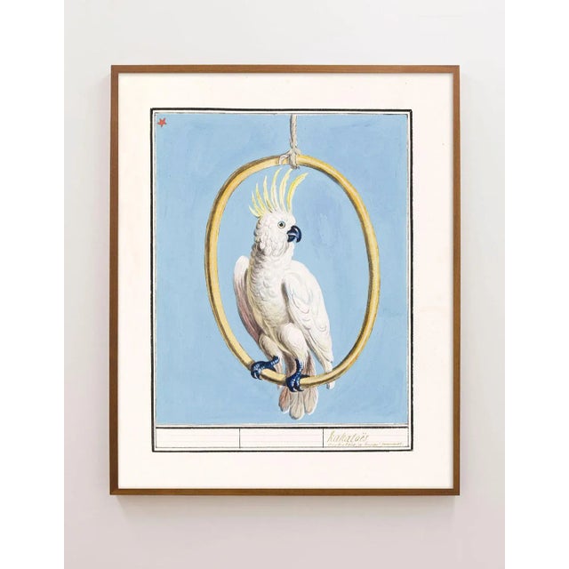 Reproduction White Cockatoo Bird on Blue Background Unframed Pigment Print For Sale - Image 4 of 4