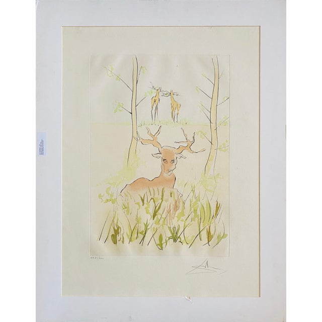 1970s Salvador Dalí­Salvador Dali, Le Cerf Malade Signed Etching Engraving, Color Lithograph Pochoir For Sale - Image 5 of 9