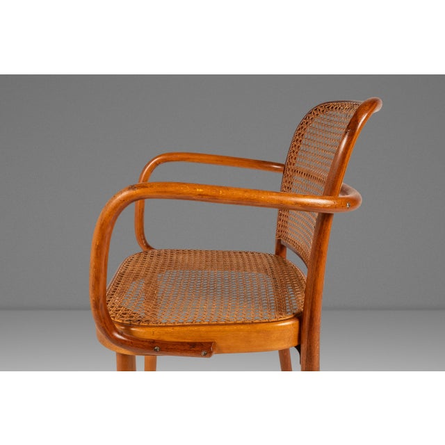 Mid-Century Modern Bentwood Model 811 "Prague" Armchair by Josef Frank Josef Hoffmann for Stendig, Czechoslovakia, C. 1960s For Sale - Image 9 of 18