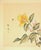 This is recent purchase that we were fortunate to find in Paris. It is an original Mid-Century Chinese floral botanical...