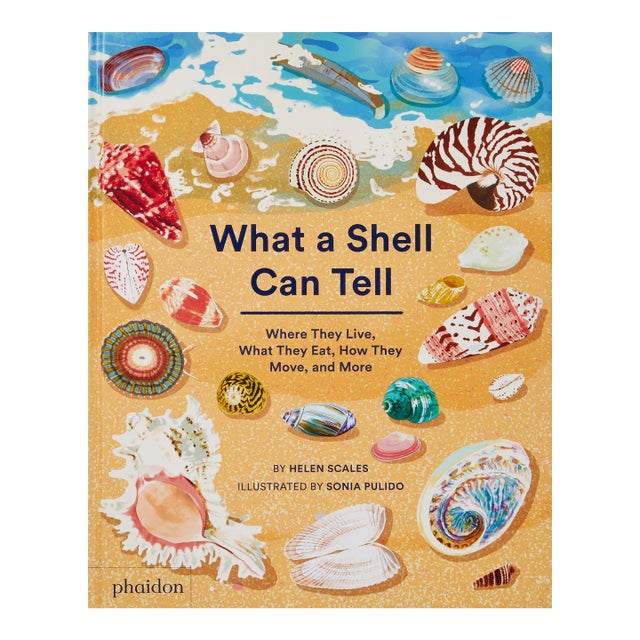 What a Shell Can Tell For Sale