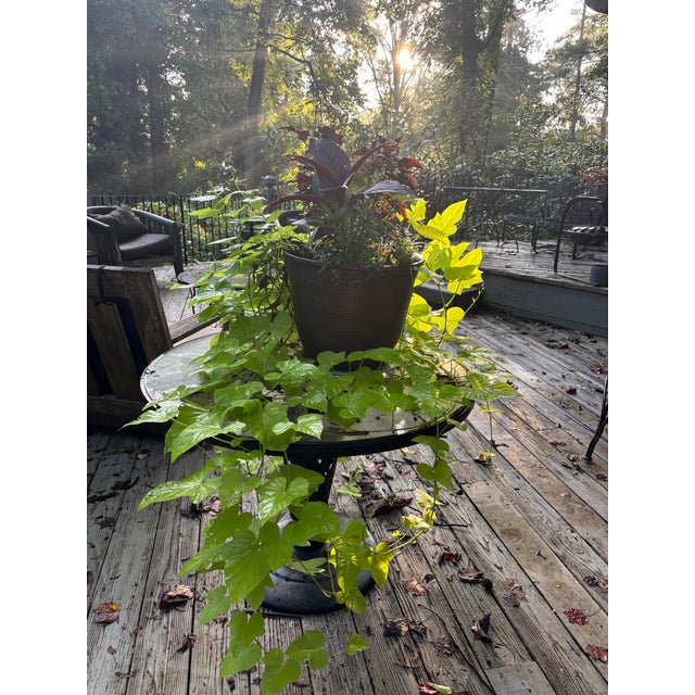 recently restored center table. can float stand alone or be flanked by chairs for cocktails or appetizers. heavy iron with...