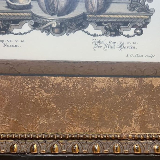 English Large Vintage John-Richard “Hortus Nucum” Framed Botanical Print After i.g. Pintz For Sale - Image 3 of 8