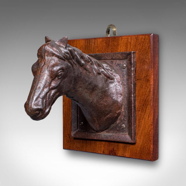 Traditional Antique Mounted Horse Bust, English, Iron, Coat Hook, Equestrian Tack, Edwardian For Sale - Image 3 of 10