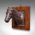 Traditional Antique Mounted Horse Bust, English, Iron, Coat Hook, Equestrian Tack, Edwardian For Sale - Image 3 of 10
