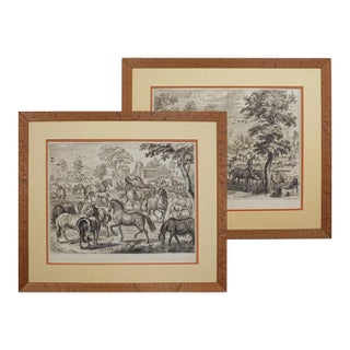 18th Century Equestrian Horsemanship Engravings Framed - A Pair For Sale