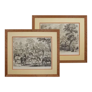 18th Century Equestrian Horsemanship Engravings Framed - A Pair
