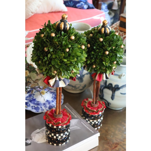 MacKenzie-Childs Courtly Check Holiday Boxwood Topiary Trees With Gold Accents — A Pair For Sale - Image 17 of 18