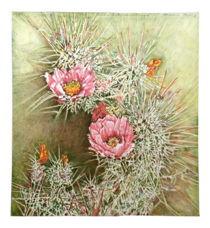 Genevieve Reckling "Sandra Suite Desert Flower I" Signed Art Lithograph