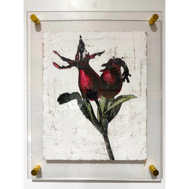 Vintage Rose Hip - Hand Textured Red Rose Hip Art For Sale - Image 6 of 7