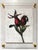 Vintage Rose Hip - Hand Textured Red Rose Hip Art For Sale - Image 6 of 7