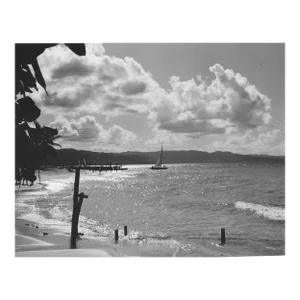 1966 Montego Bay Jamaica Photograph by Don Ware