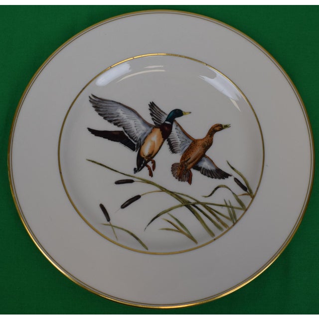 Sz: 10 1/2"D Lovely set of 7 hand-painted bone china dinner plates marketed/ sold by Abercrombie & Fitch Madison Avenue...