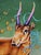 Borrowed Time by Patrick Maxcy | Acrylic on Canvas Antelope with colorful horns and butterflies For Sale