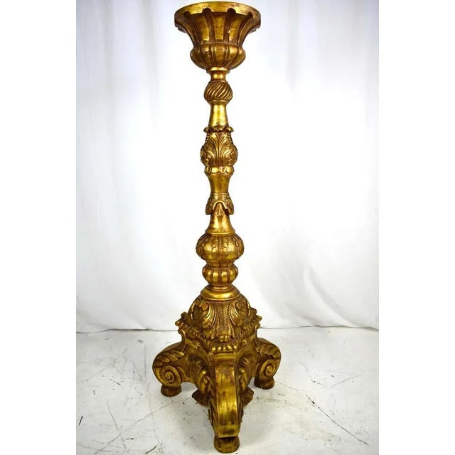 Large European Carved Gilt Torcheres, Set of 2 For Sale - Image 4 of 5