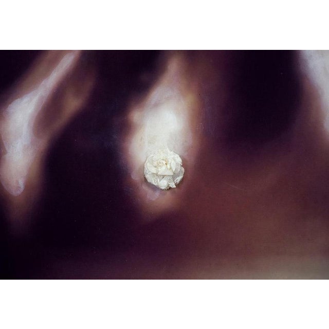 Ambra Morosi, La Gioia, Sfumato Technique, 2018, Oil Painting on Canvas For Sale - Image 3 of 4