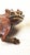 Rustic 1980s Michael Storey Metal Sculpture Lizard Shelf or Wall Hanging For Sale - Image 3 of 11