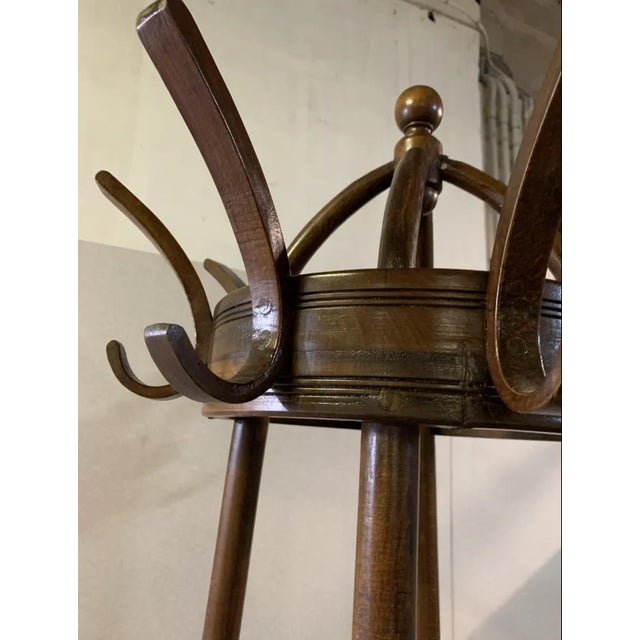 Rack in Beech and Walnut from Thonet Vienna For Sale - Image 5 of 6